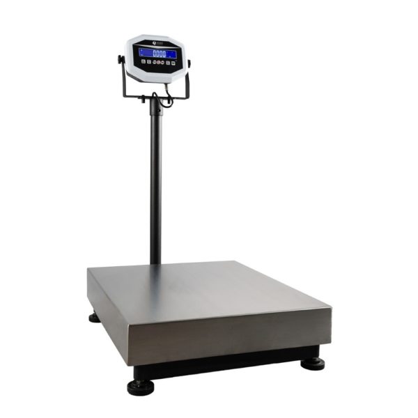 Platform Scales